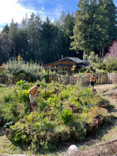 Load image into Gallery viewer, Salmon Creek Farm Seed Mix | Pickup