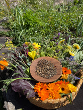 Load image into Gallery viewer, Salmon Creek Farm Seed Mix | Pickup
