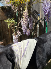 Load image into Gallery viewer, Salmon Creek Farm Seed Mix | Pickup

